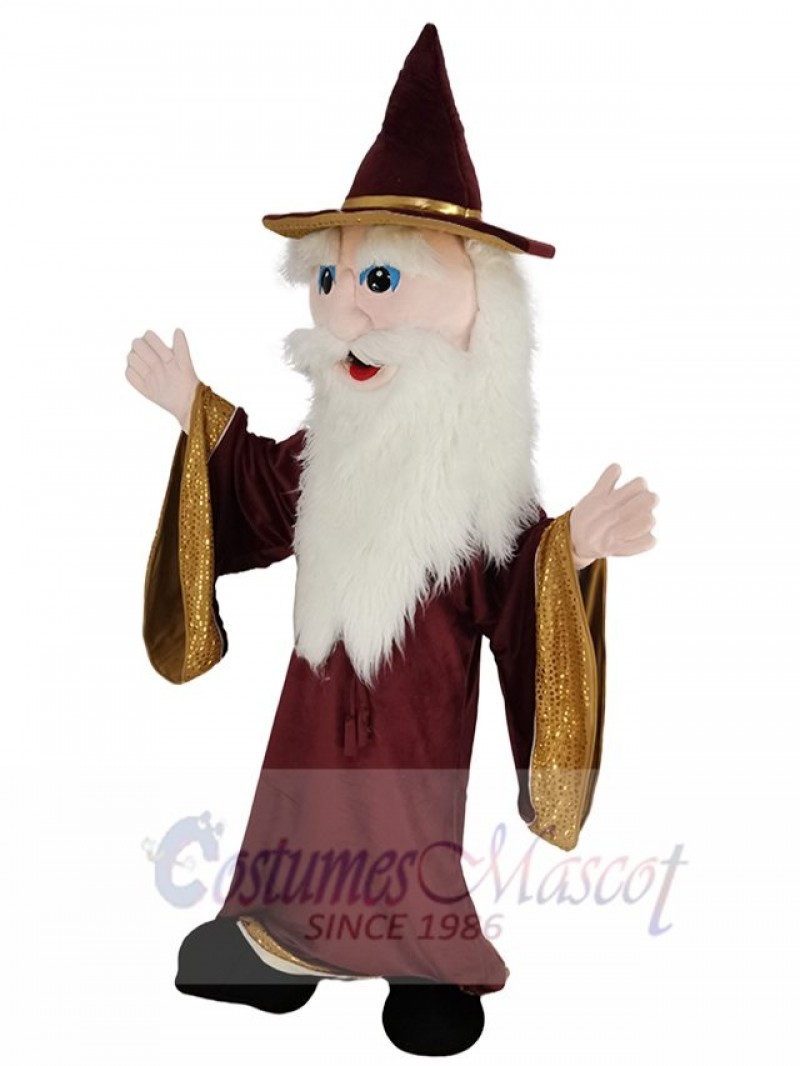 Merlin Wizard mascot costume