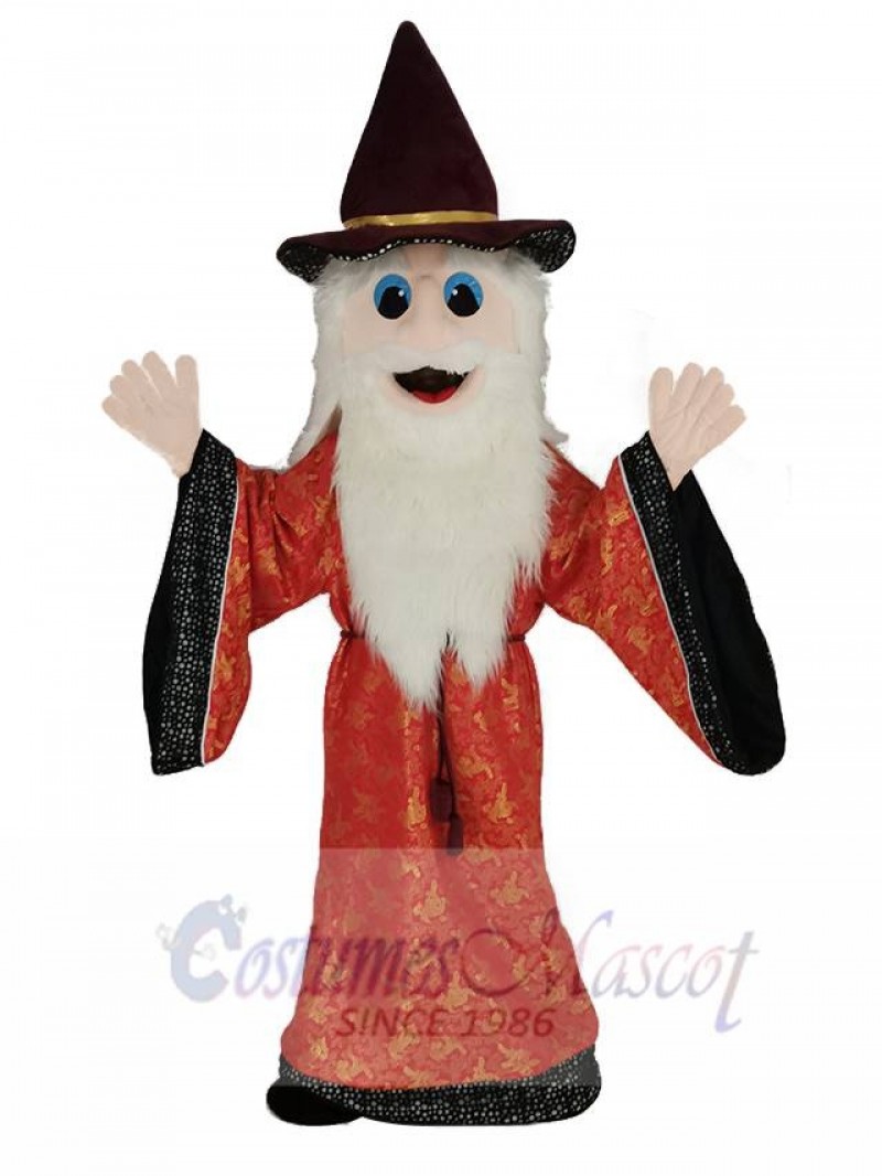 Merlin Wizard Mascot Costume Cartoon