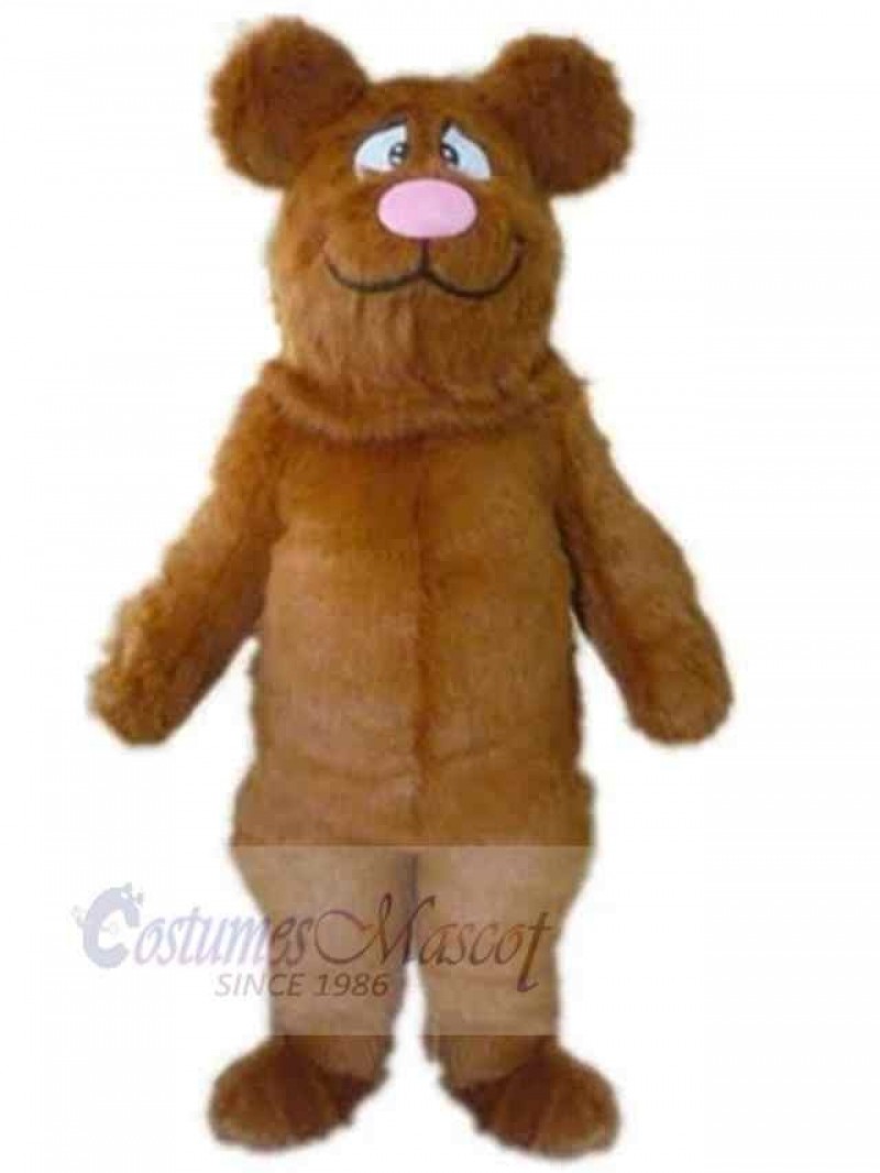 Bear mascot costume