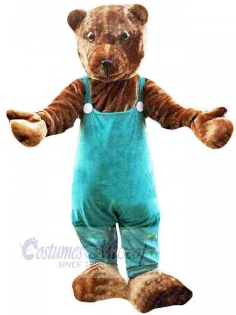 Bear mascot costume