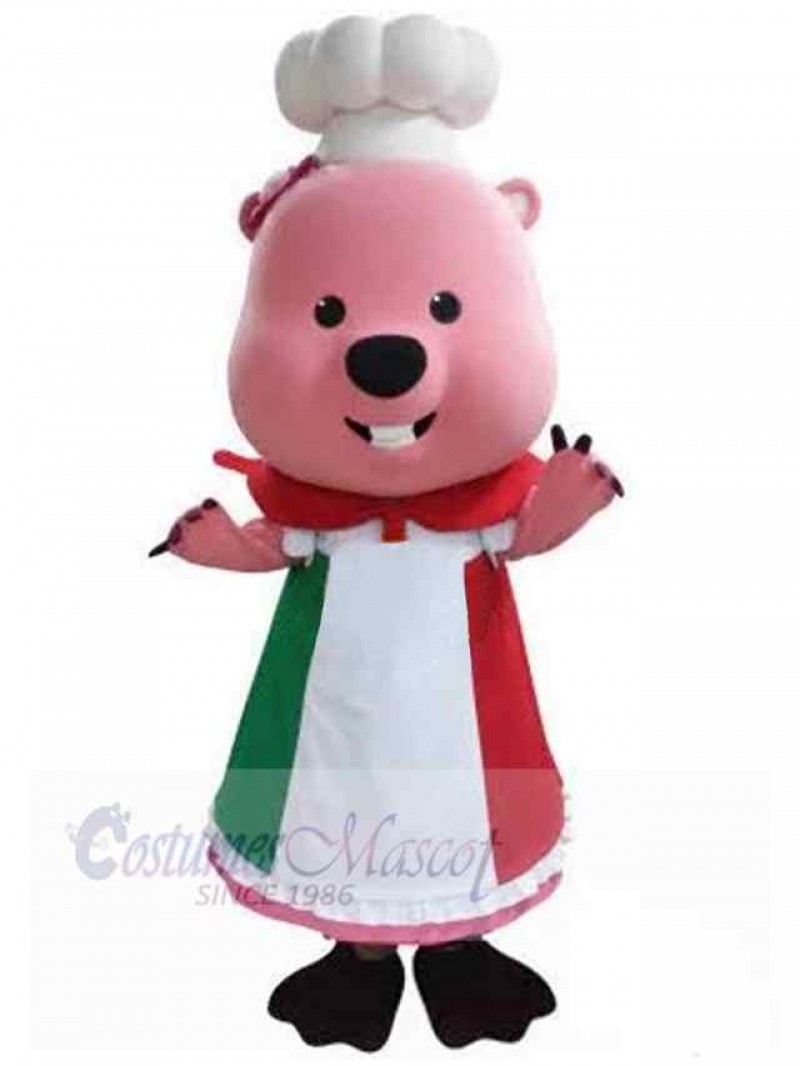 Bear mascot costume