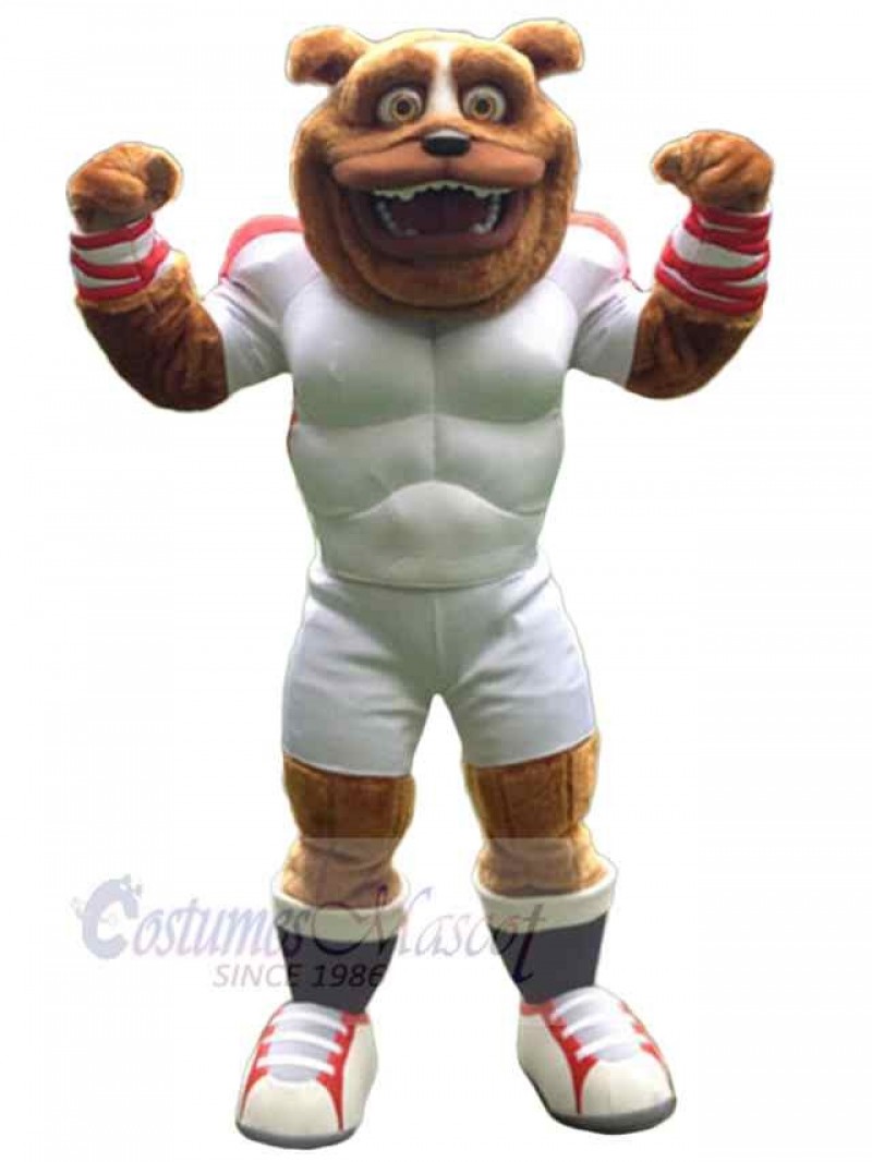 Bear mascot costume
