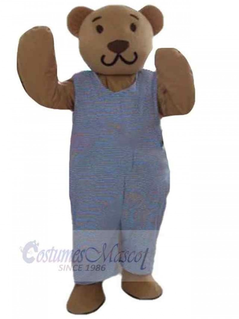 Bear mascot costume