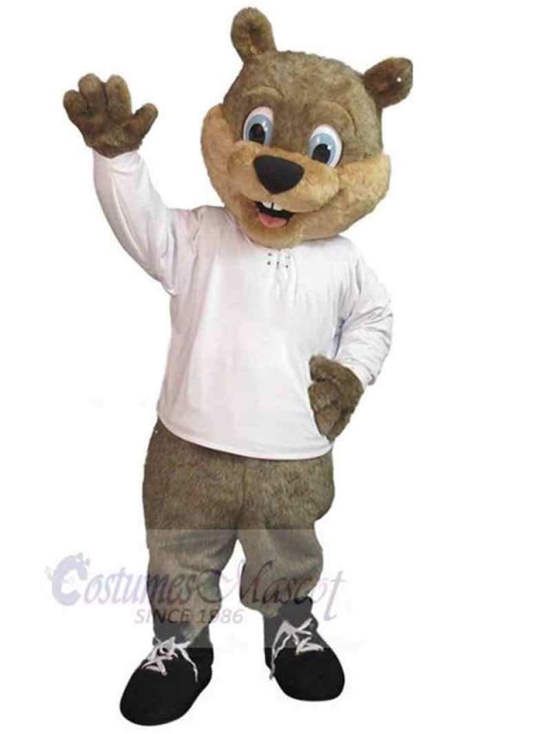 Bear mascot costume