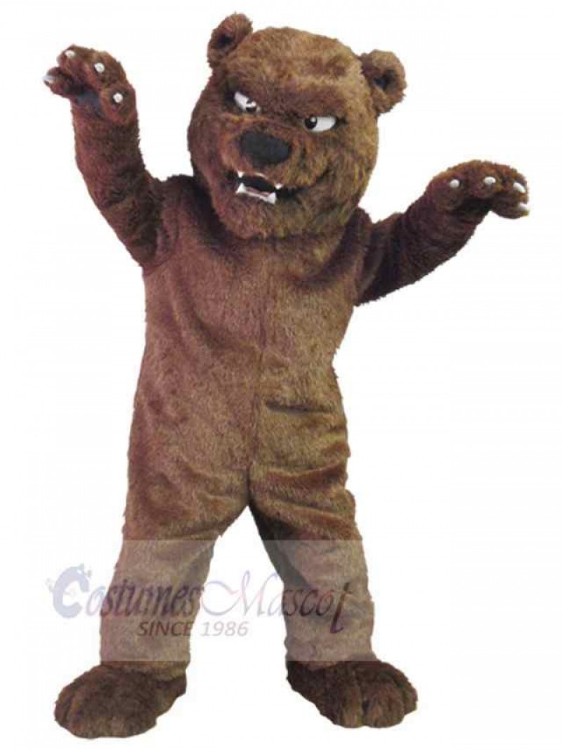 Bear mascot costume