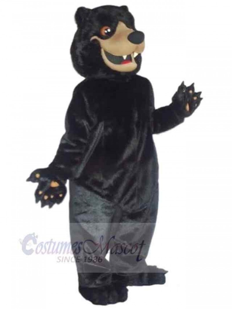 Bear mascot costume
