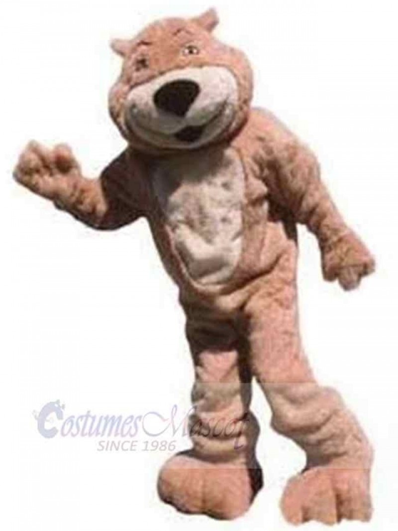 Bear mascot costume