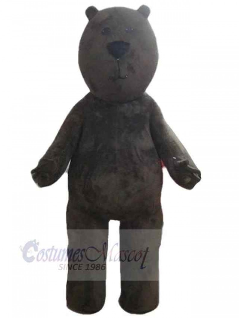 Bear mascot costume