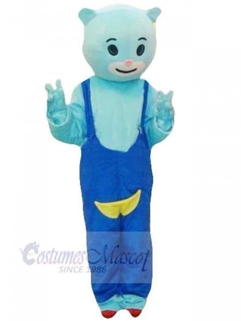 Bear mascot costume