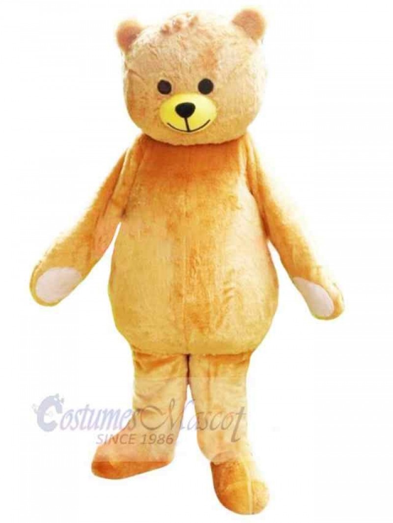 Bear mascot costume
