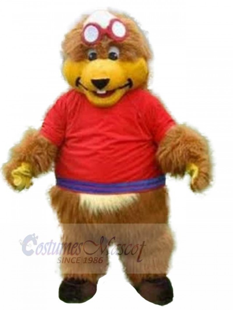 Bear mascot costume