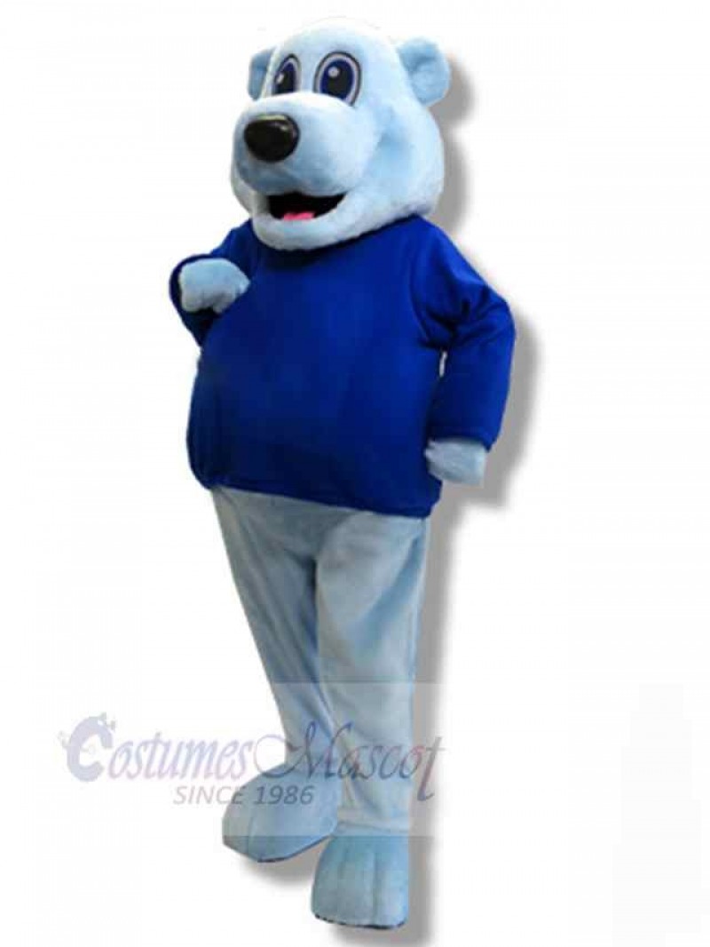 Bear mascot costume