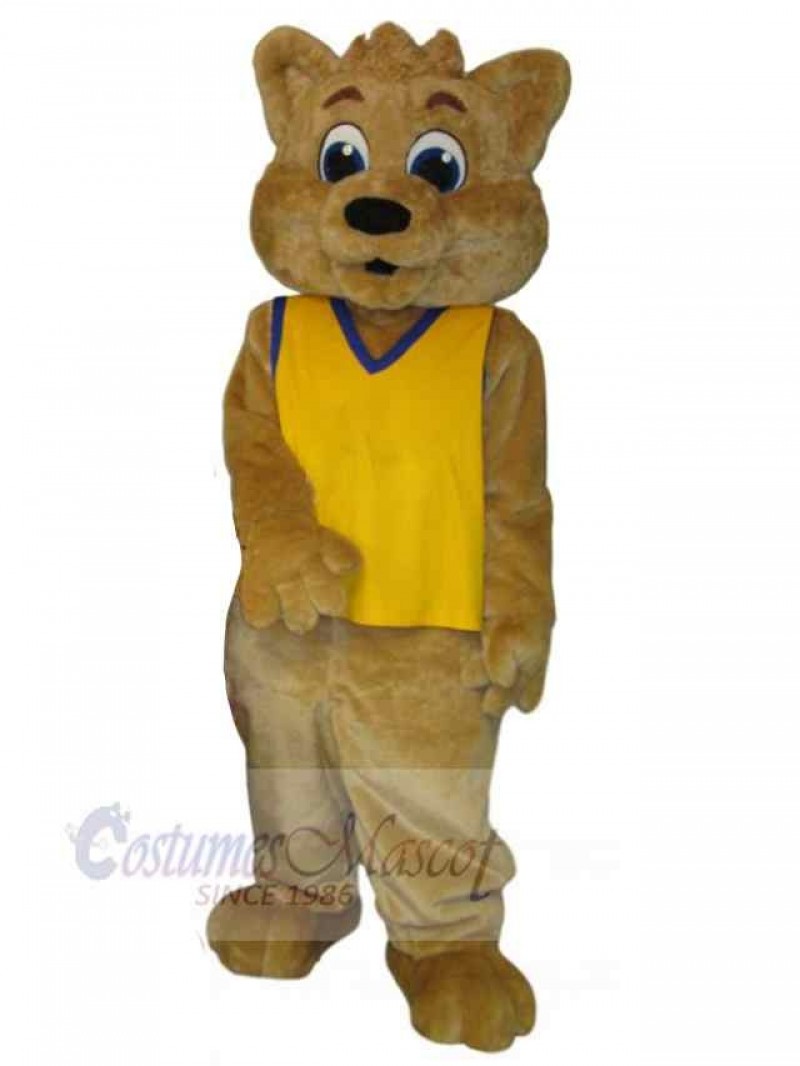 Bear mascot costume