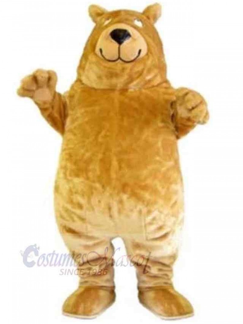 Bear mascot costume