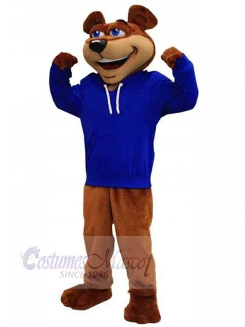 Bear mascot costume