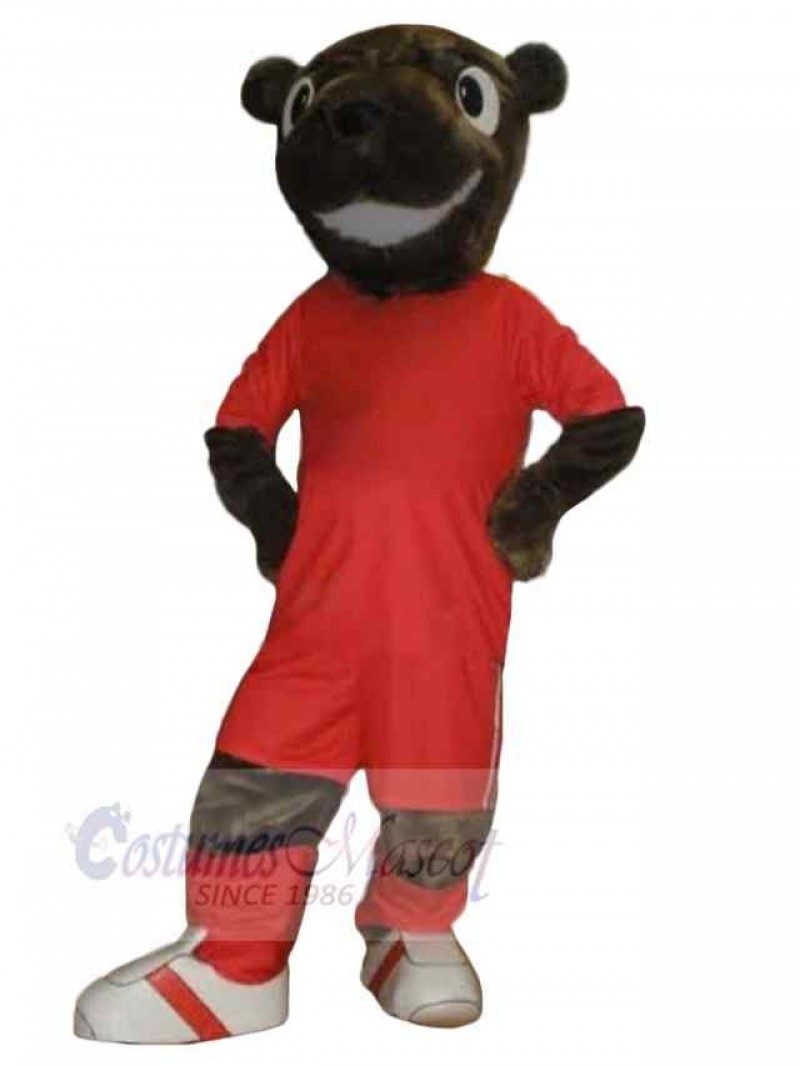 Bear mascot costume