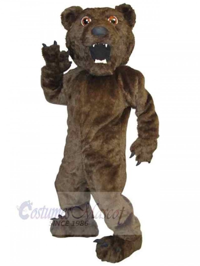 Bear mascot costume