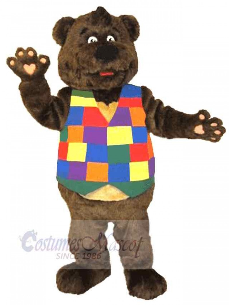 Bear mascot costume