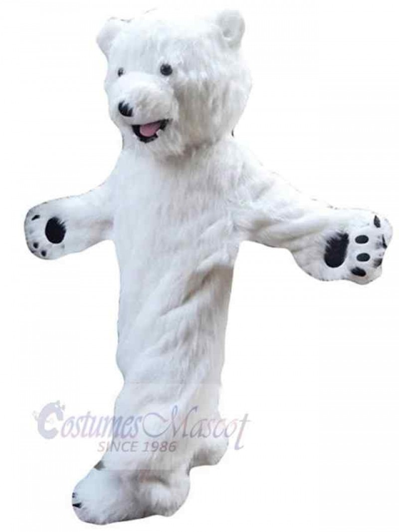 Bear mascot costume