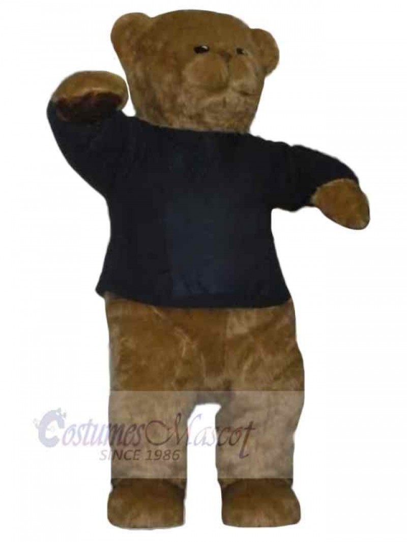 Bear mascot costume