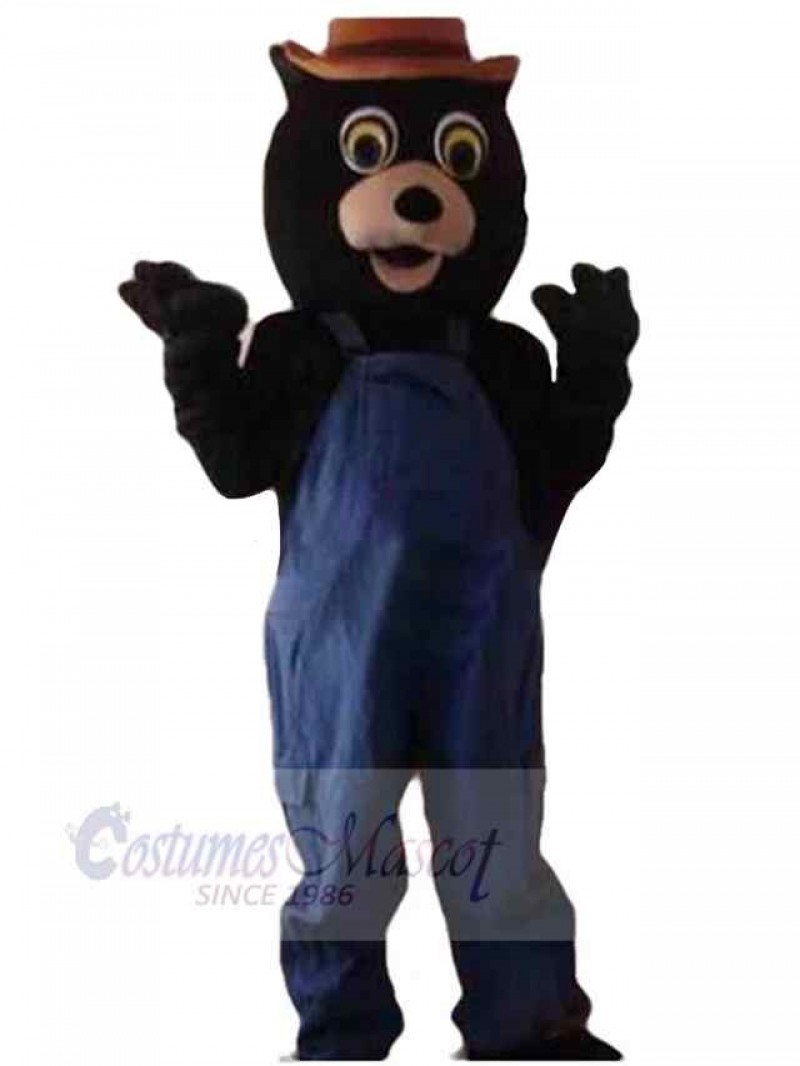 Bear mascot costume