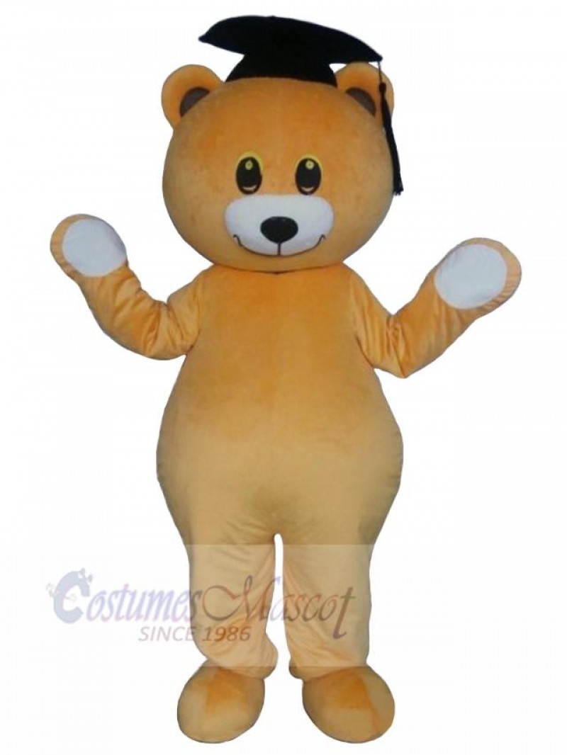 Bear mascot costume