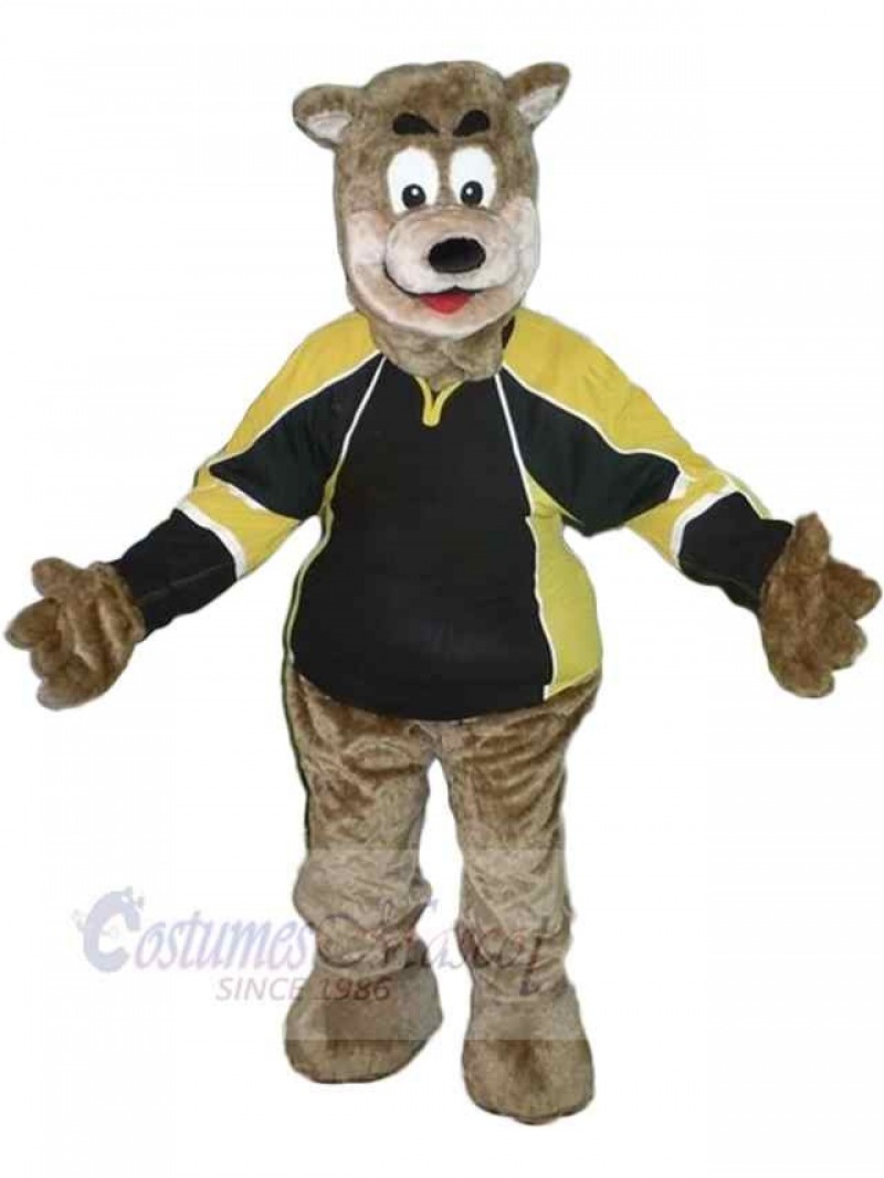 Bear mascot costume