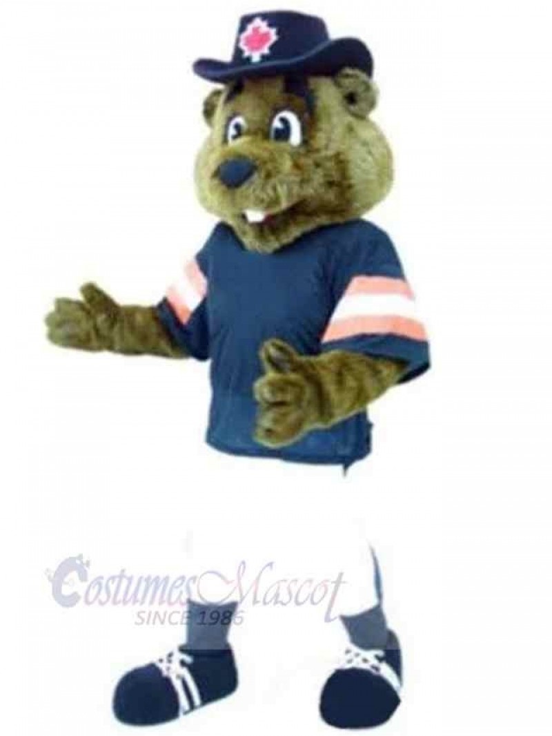Bear mascot costume