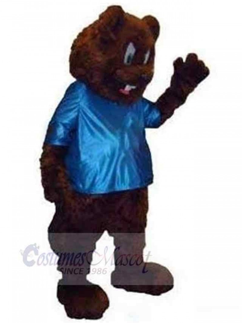 Bear mascot costume