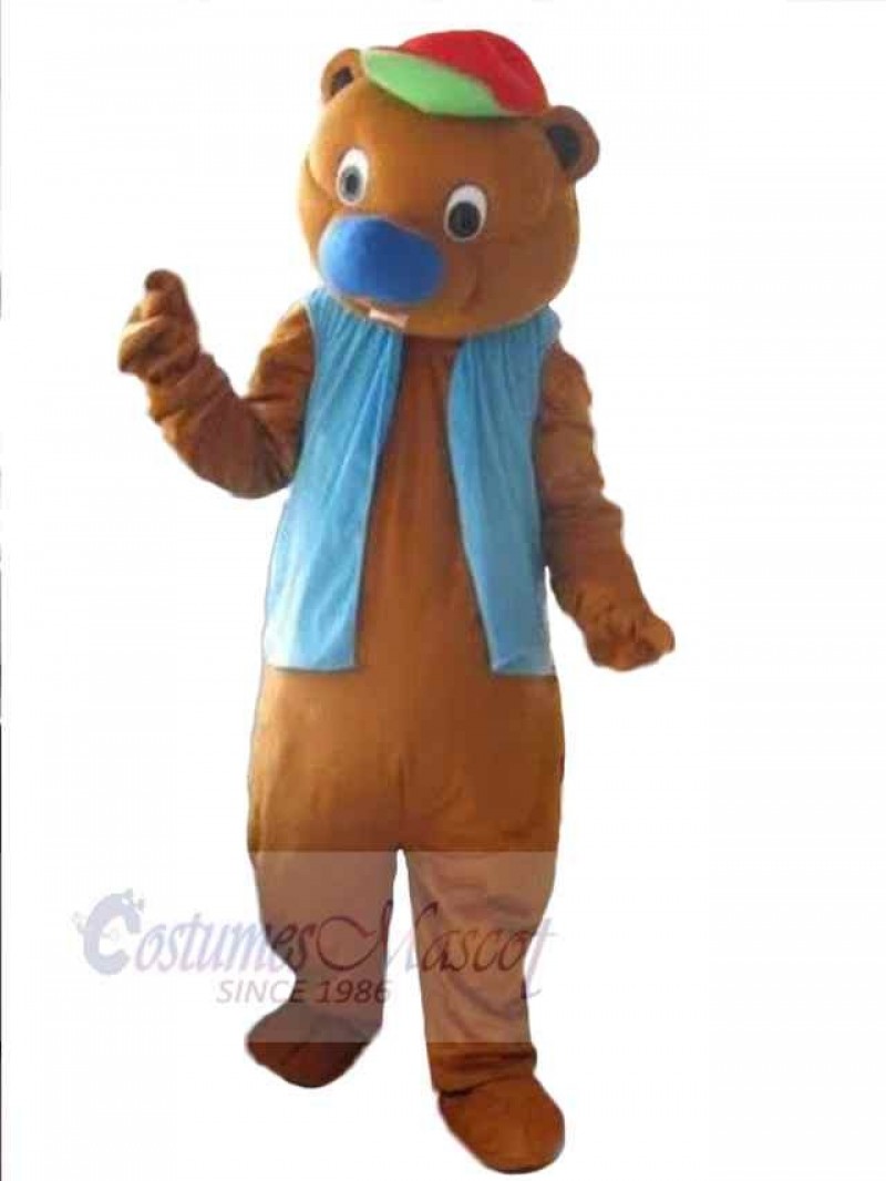 Bear mascot costume