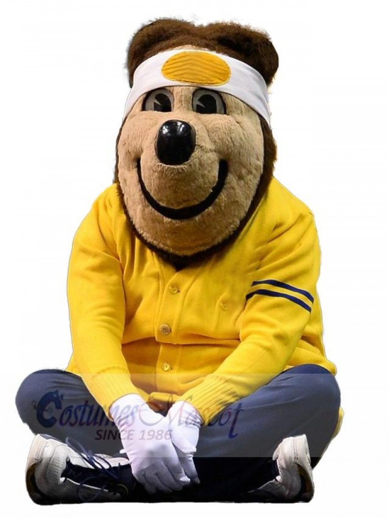 Bear mascot costume