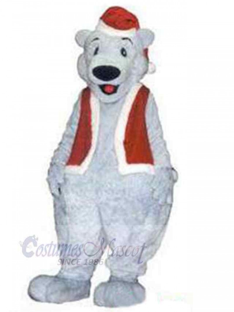 Bear mascot costume