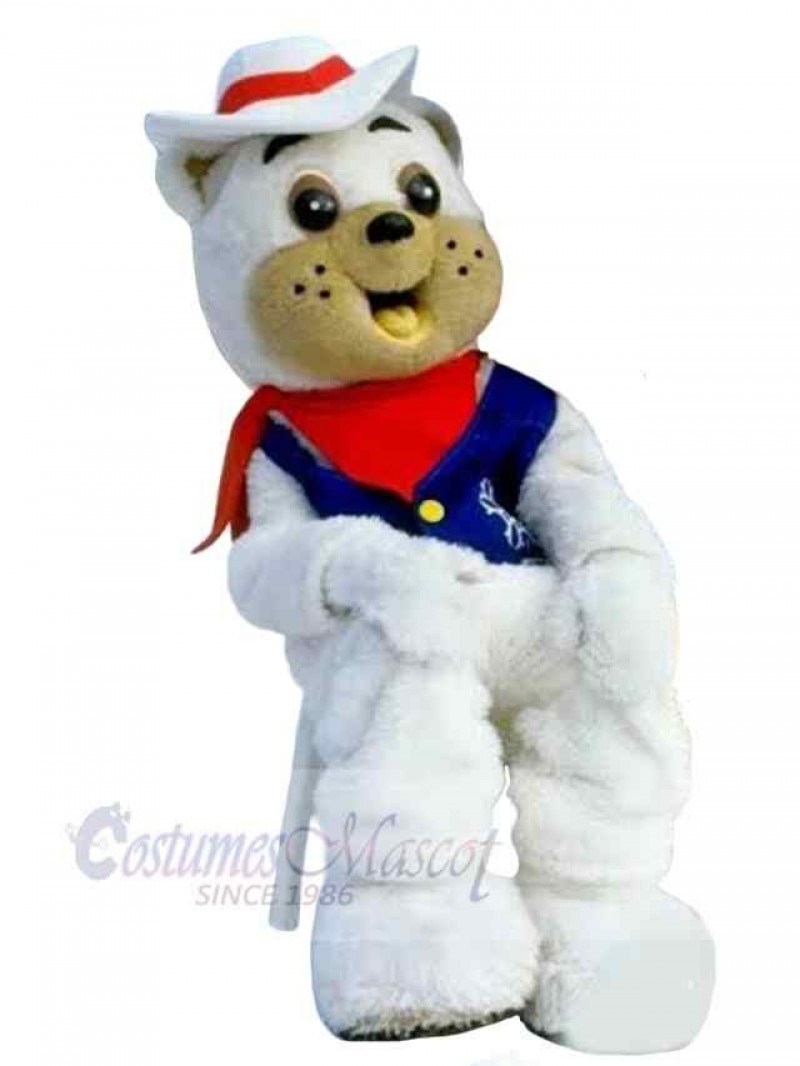 Bear mascot costume