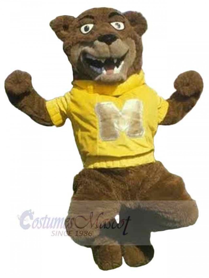 Bear mascot costume