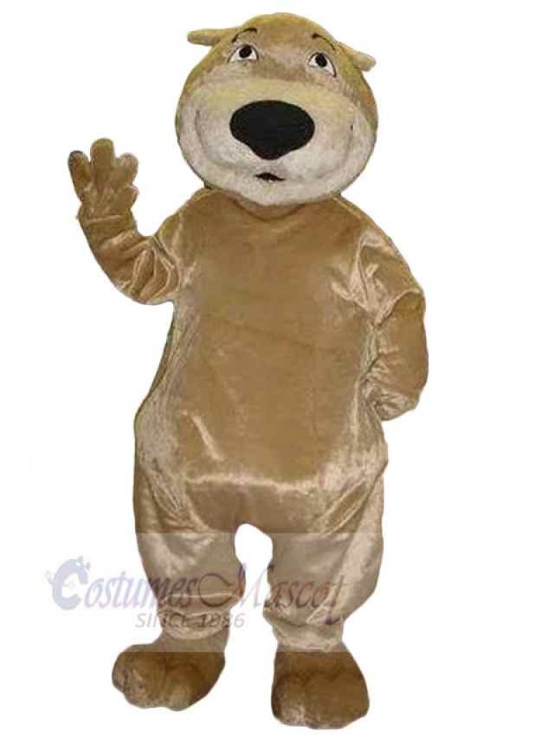 Bear mascot costume