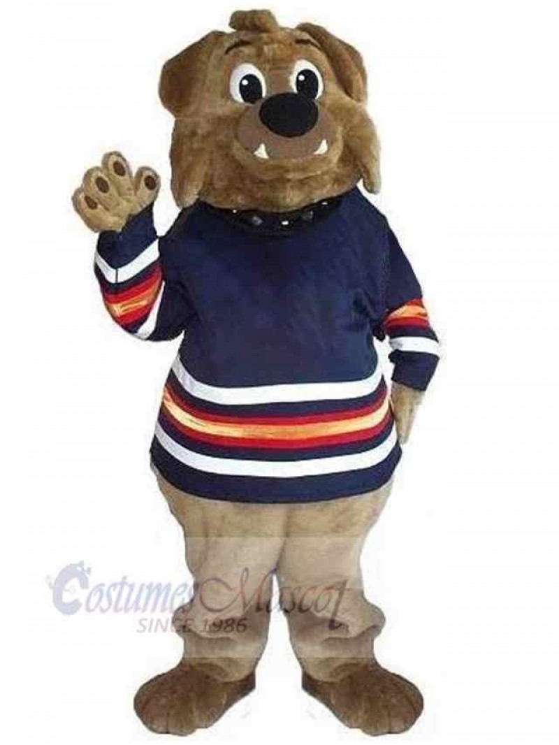 Bear mascot costume