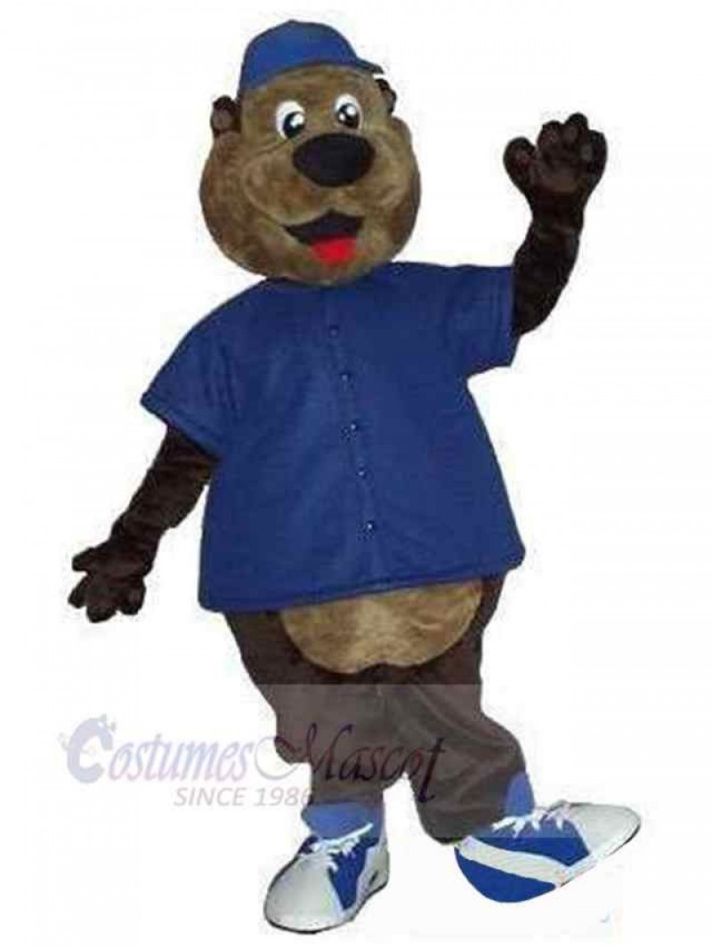 Bear mascot costume