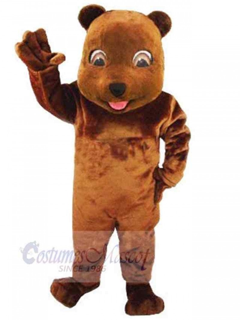 Bear mascot costume