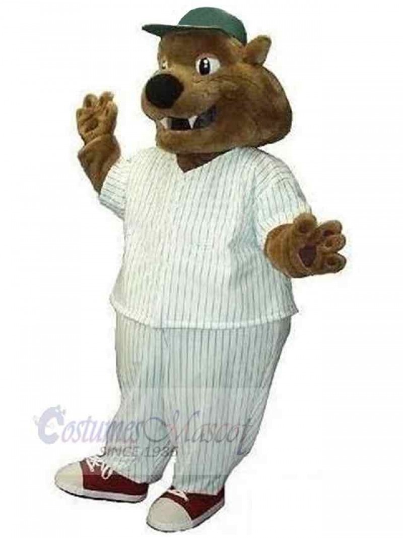 Bear mascot costume