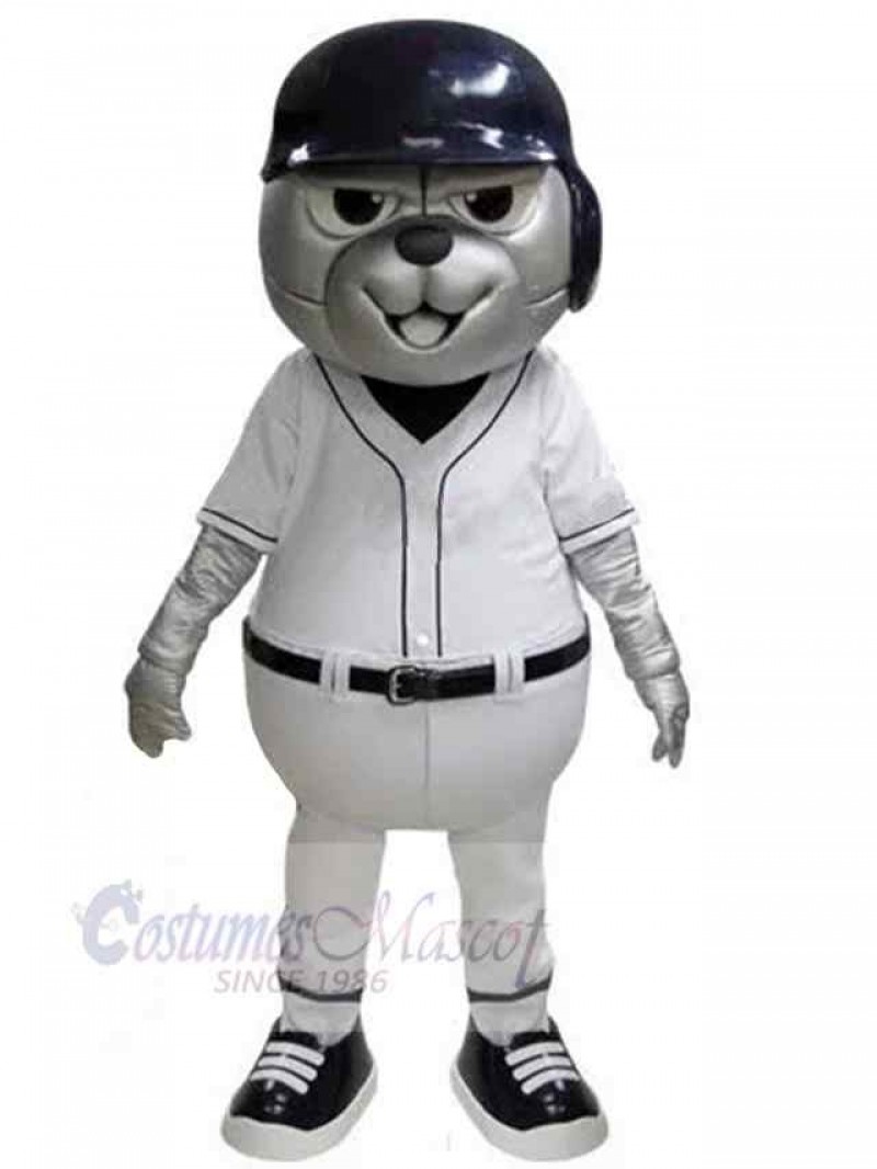 Bear mascot costume