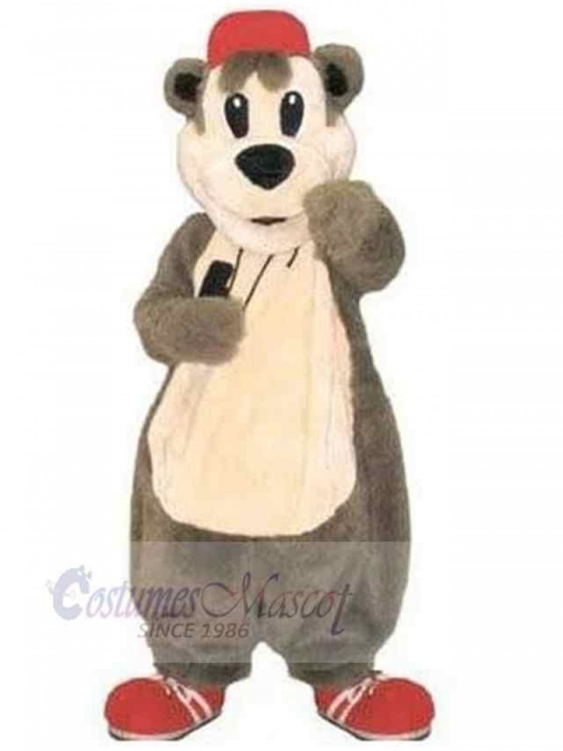 Bear mascot costume