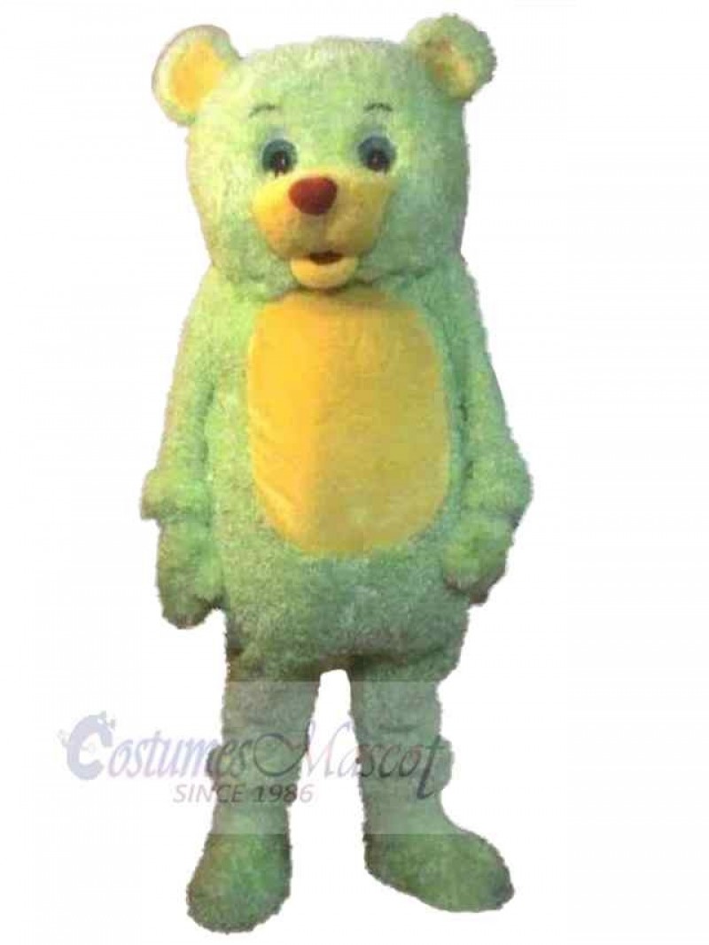 Bear mascot costume