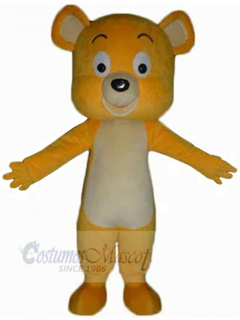 Bear mascot costume