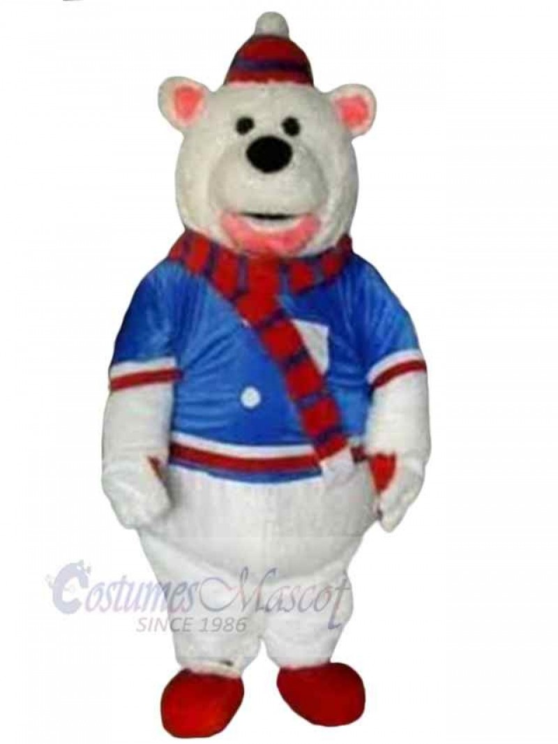 Bear mascot costume