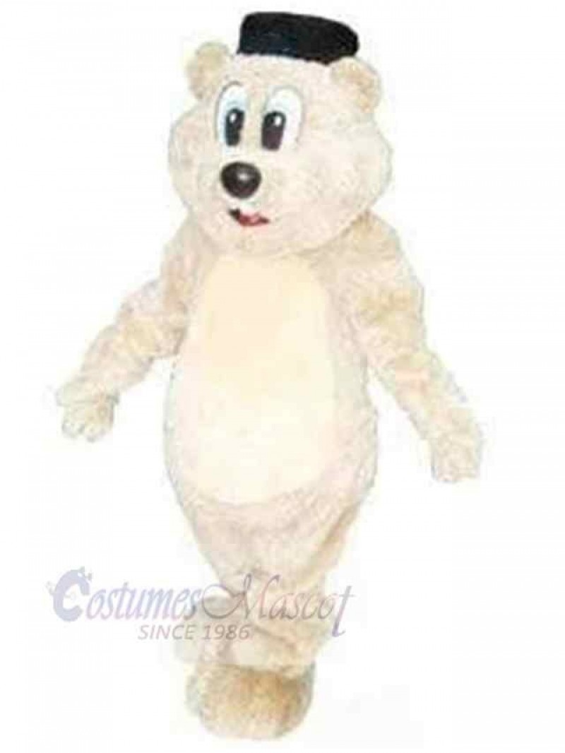 Bear mascot costume