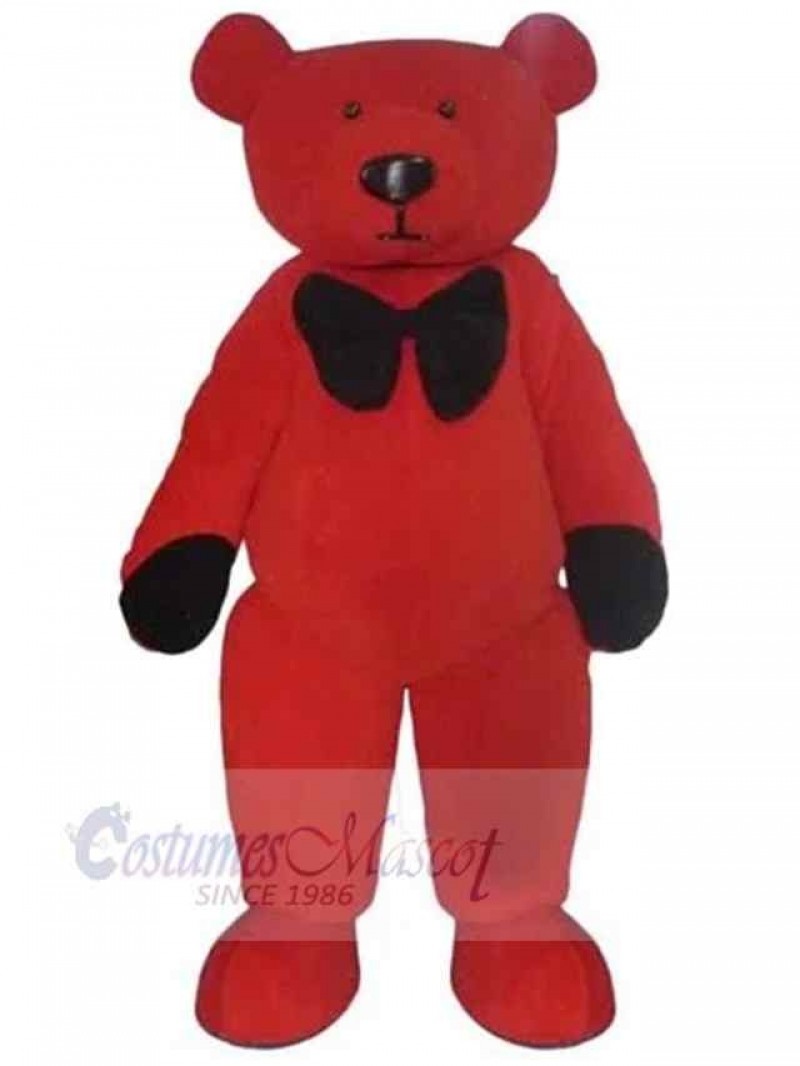 Bear mascot costume