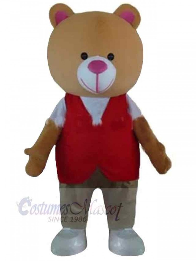 Bear mascot costume