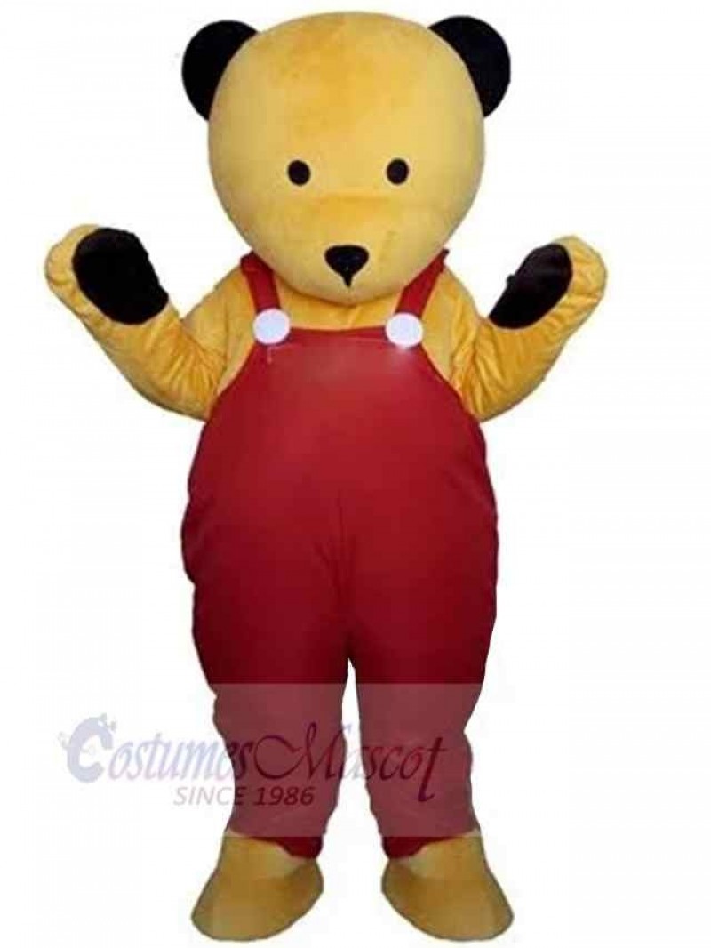 Bear mascot costume