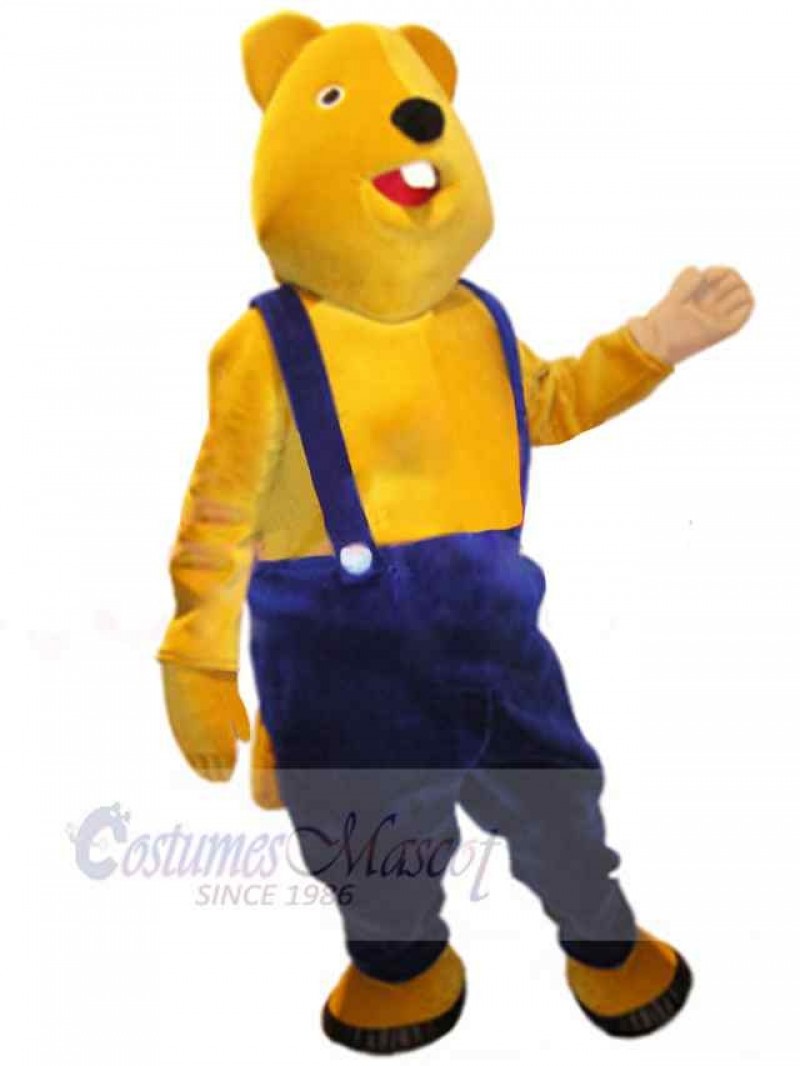 Bear mascot costume