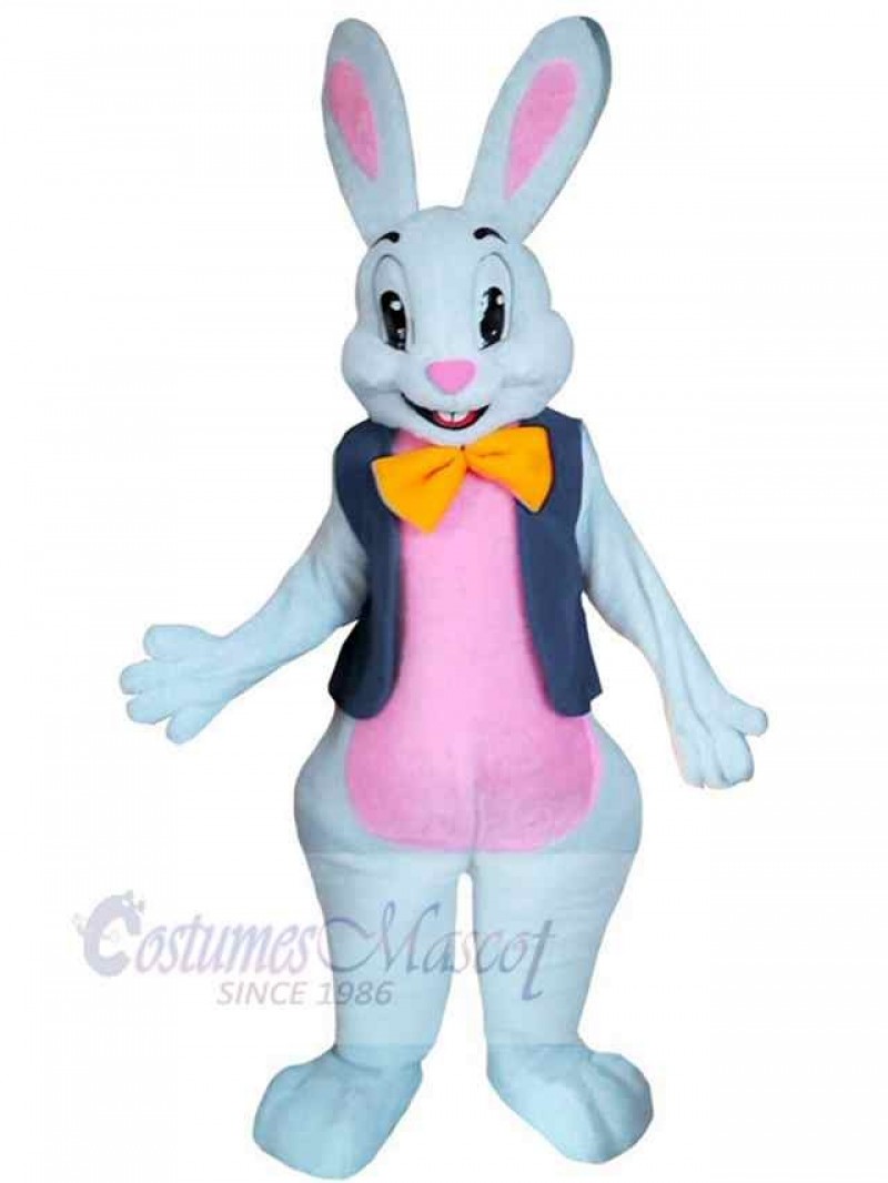 Bunny mascot costume